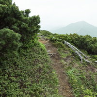 細い道が続く（乗鞍新登山道）の写真