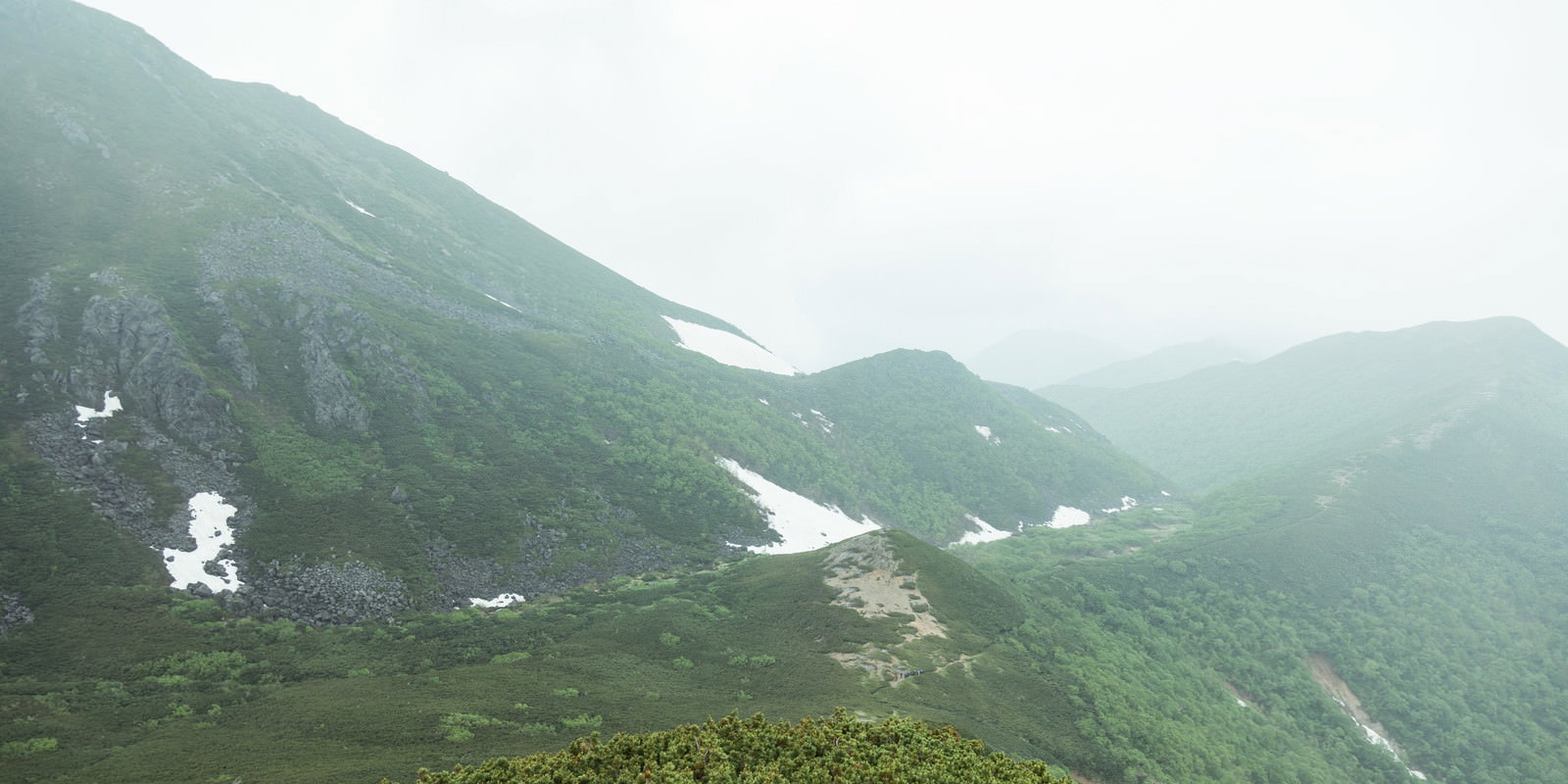 霧に包まれた乗鞍新登山道から見える緑の山々の風景