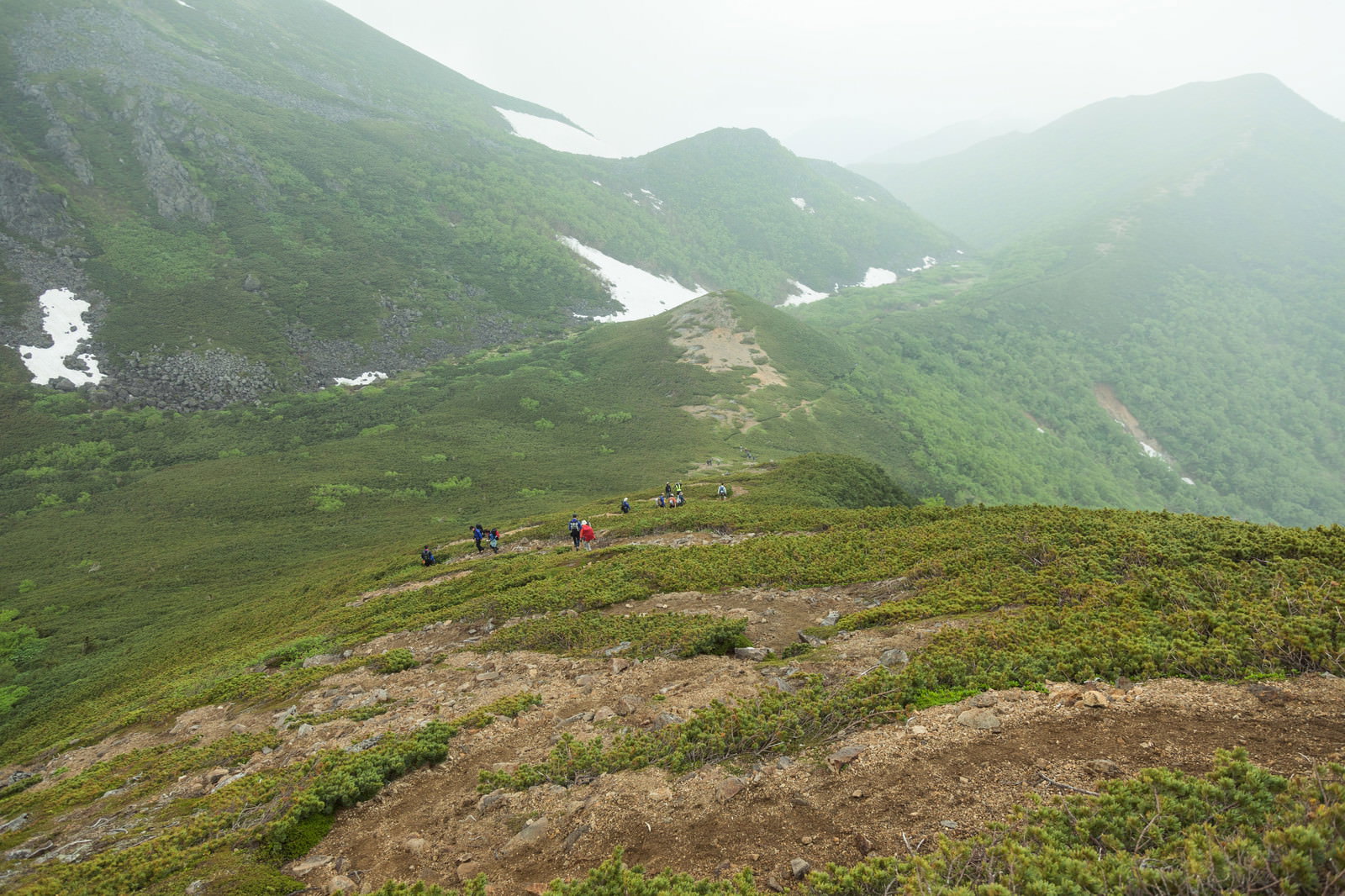 緑深い山岳地帯の斜面を歩く登山者と霧がかかった山々の風景