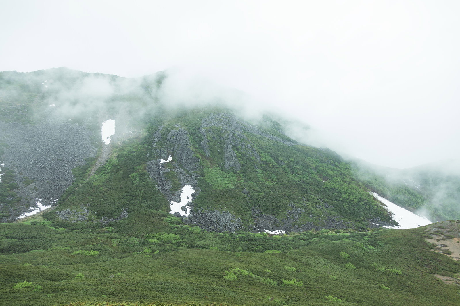 深い霧に包まれた山岳地帯の風景