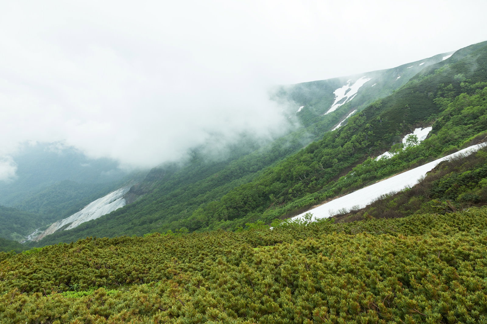 霧に包まれた緑の植生と残雪がある高山の急斜面