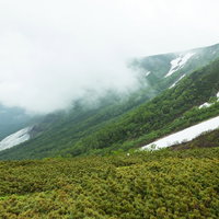 霧に包まれた乗鞍新登山道の渓谷と斜面の高山風景の写真