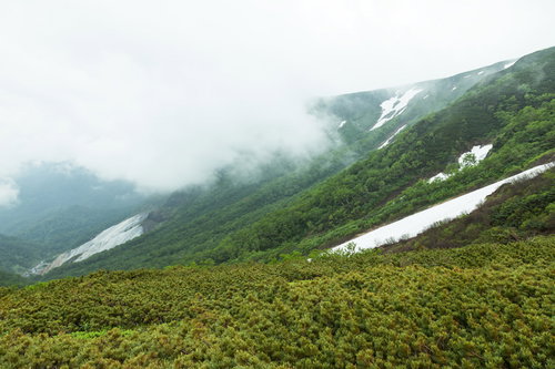 霧に包まれた乗鞍新登山道の渓谷と斜面の高山風景