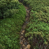 人ひとりが歩ける幅の乗鞍新登山道の写真
