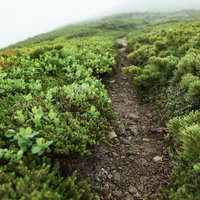 硫黄岳の山頂を目指す整備された登山道を進む登山者の写真