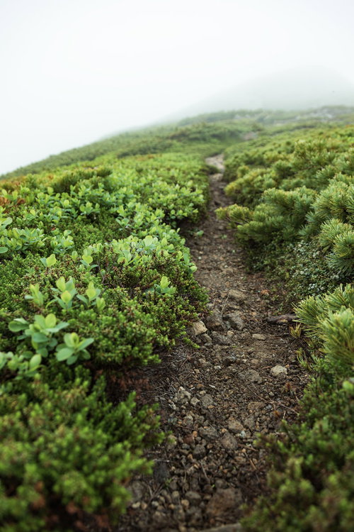 硫黄岳の山頂を目指す整備された登山道を進む登山者
