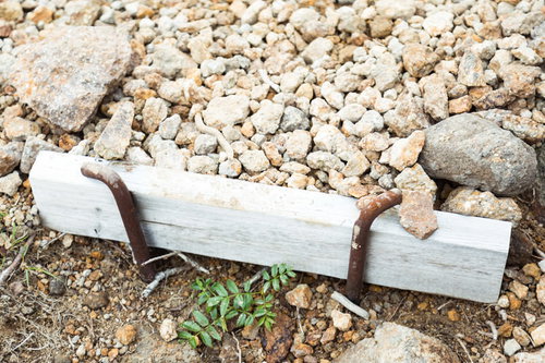 乗鞍新登山道に設置された木材の階段と登山道整備