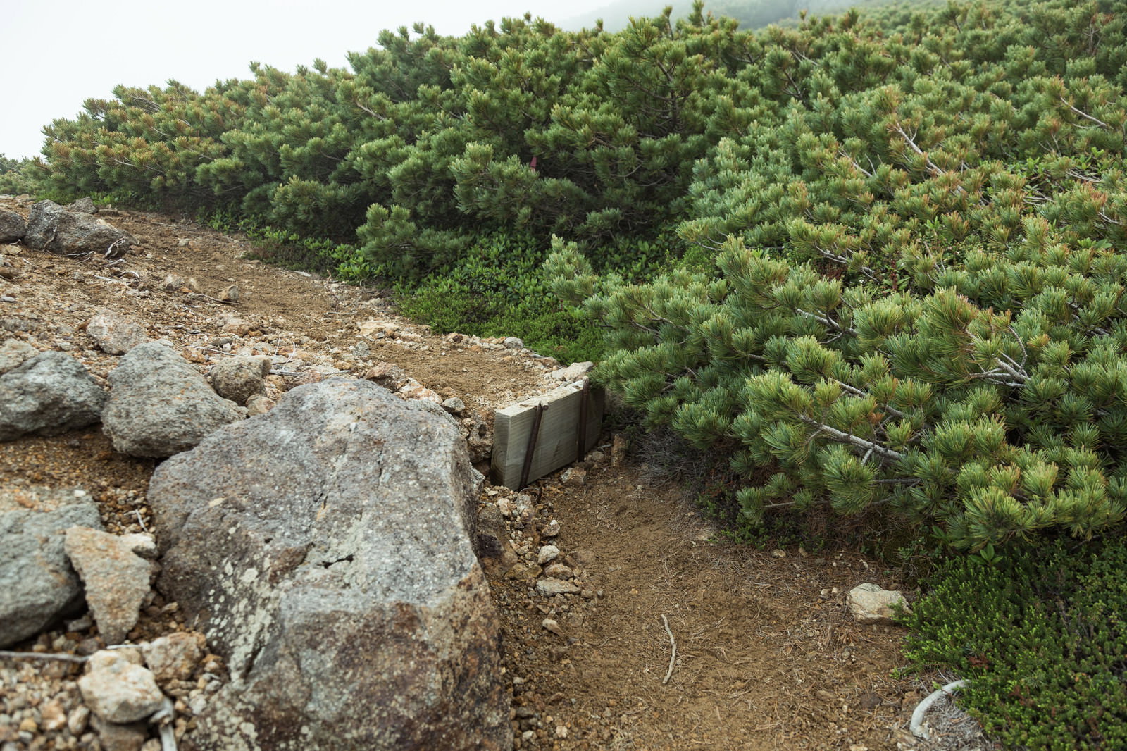 木材にネジを締める登山道整備の作業手元