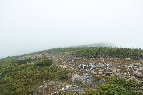霧で頂上が見えない乗鞍新登山道の風景と登山者