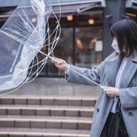 持ってみな 飛ぶぞの写真