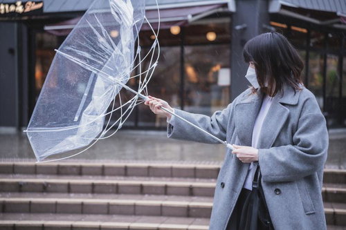 持ってみな 飛ぶぞ