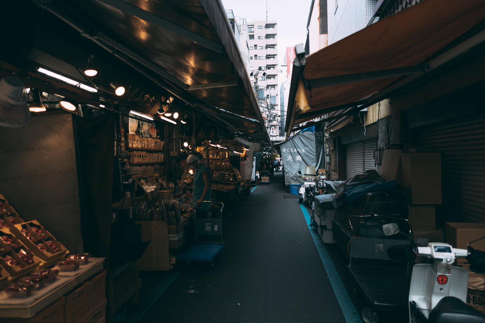 築地の下町商店街の屋根付き通路で蛍光灯に照らされた薄暗い市場の様子