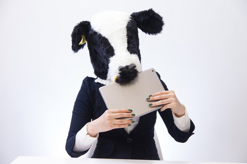 Cow Girl Who Started Eating the Entire Tablet After Being Shown a Photo of Grass