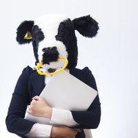 鷲の頭をかぶってノートパソコンを抱える急いだ表情のライターの写真