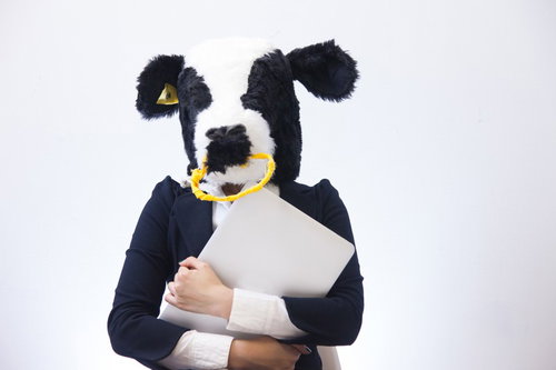 鷲の頭をかぶってノートパソコンを抱える急いだ表情のライター