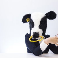 人事担当の牛にダメ出しされるの写真