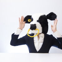 お手上げ状態の写真