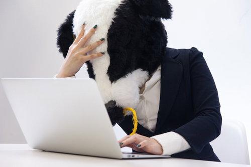 クライアントに間違って彼氏宛のメッセージを送ってしまったエト牛