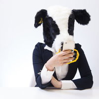 スマホでニュースサイトをチェックするエト牛の写真