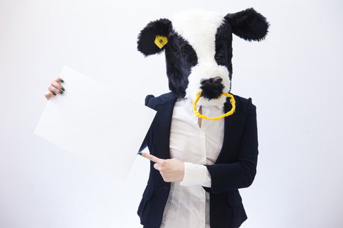 結構雑な案内をするアニマル社員がフリップで告知