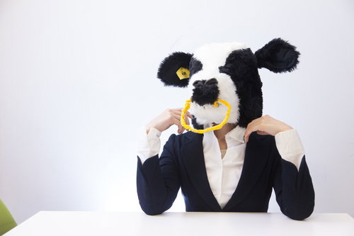 ちょっと仕事が出来そうな牛部長が会議で指示を出すの写真