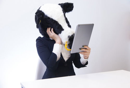 鏡を見つめてうっとりするエト牛、タブレットで自撮りしながら悩む