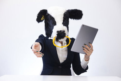 街中のアンケートに答えたら怪しい場所に連れて行かれたエト牛