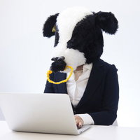 経理担当として働くエト牛のビジネスオフィスワークの写真