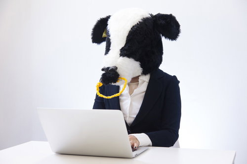 経理担当として働くエト牛のビジネスオフィスワーク