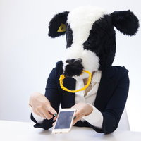 「スマホ表示が崩れてますよ！ホラッ」の写真
