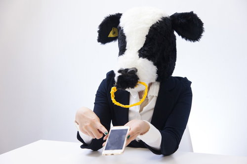 「スマホ表示が崩れてますよ！ホラッ」