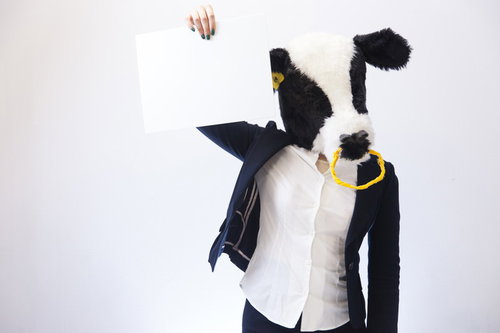 最後尾はこちらとやる気のないアルバイト牛が白い紙を持つ