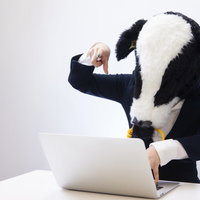 投稿前に記事の推敲を行うエンジニア牛ブロガーの写真