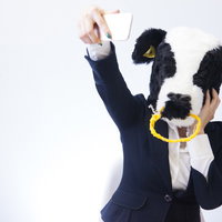 出荷前に高値がつくよう盛る牛とセルフィーする女性の写真