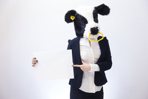 ゴミが溢れる屋外のくずかご