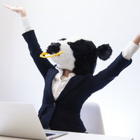 今日も残業が確定した社畜牛の写真