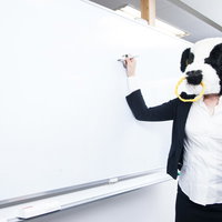 ホワイトボードに答えを書くエト牛先生の授業風景の写真