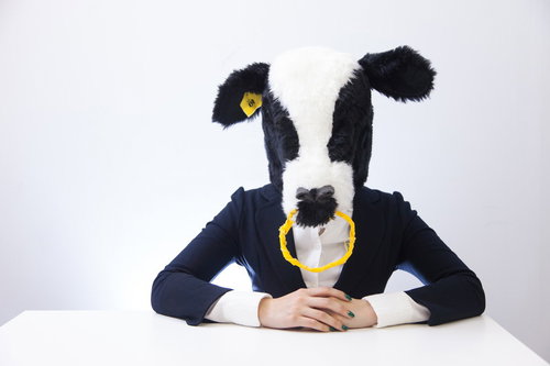 オフィスで指示待ちのエト牛の被り物をしたビジネスマン