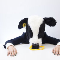 人間社会に消耗して力尽きた牛コンサルタントの写真