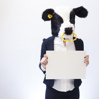 白い用紙を持つビジネススーツ姿のエト牛キャラクターの写真