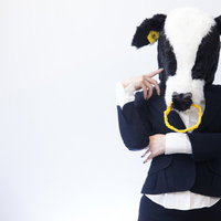 「ちょっと困ったな」考える牛さんの写真