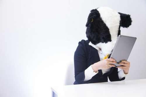 バズった記事を二度見する牛ブロガー