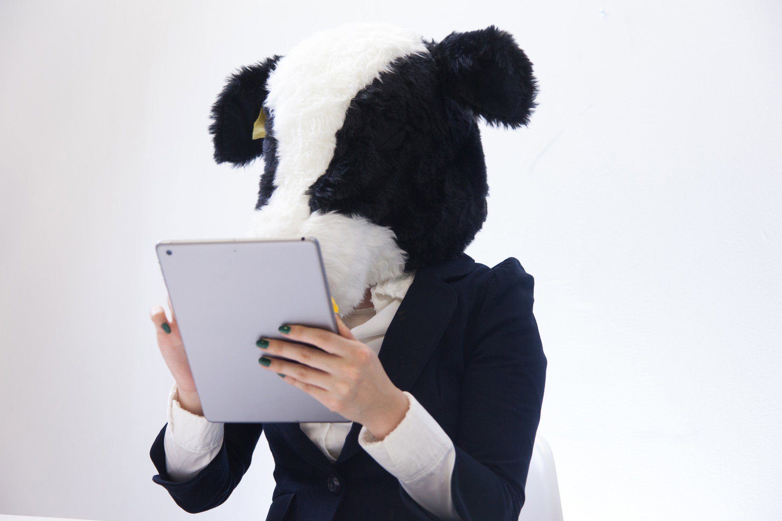 黒と白の牛の着ぐるみがタブレットを持って画面を見ている［モデル：古性のっち］