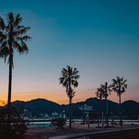 夕暮れに染まる海辺のヤシの木と静かな港町のシルエットの写真