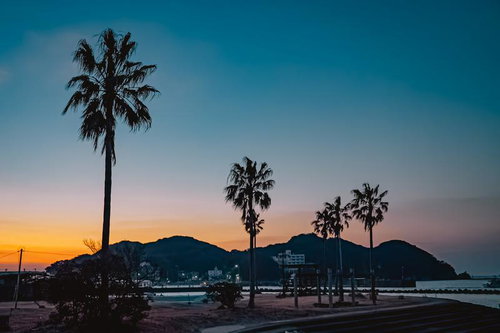 夕暮れに染まる海辺のヤシの木と静かな港町のシルエット