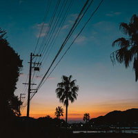 電柱と電線、ヤシの木のシルエットが浮かび上がる三重県和具の朝焼けの写真