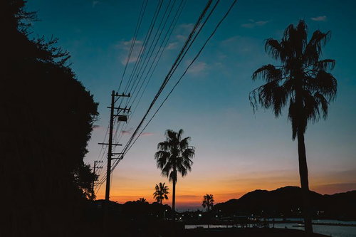 電柱と電線、ヤシの木のシルエットが浮かび上がる三重県和具の朝焼け