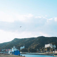 三重県答志島の港町に停泊するフェリーと緑の山々の写真