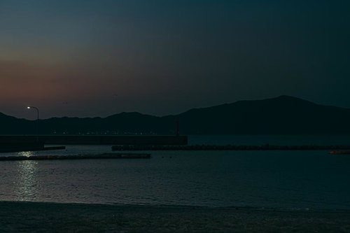 逆光に咲く一輪の梅と玉ボケ