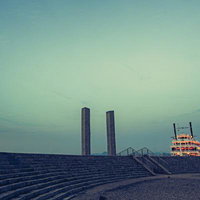 ▲緑に包まれたシャガの一輪が放つ佇まいの静寂の写真